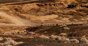 连续22年为国家队破门成足坛首人 C罗：多么美妙的夜晚