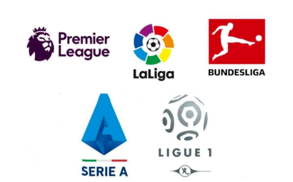 仅让球迷感 仅让球迷感